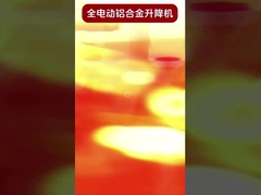 低電圧保護付き,広く適用可能な単一のマストリフト