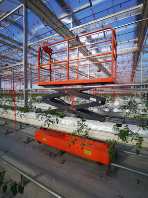 温室用野菜拾い機を上げる高柔軟性シザー